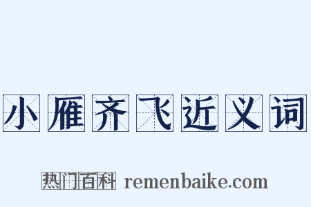 小雁齐飞近义词是什么意思的图片
